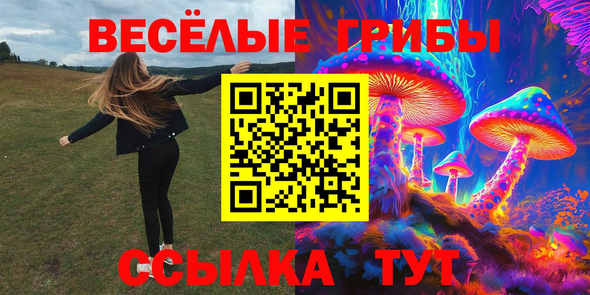 Галлюциногенные грибы Cubensis Нурлат