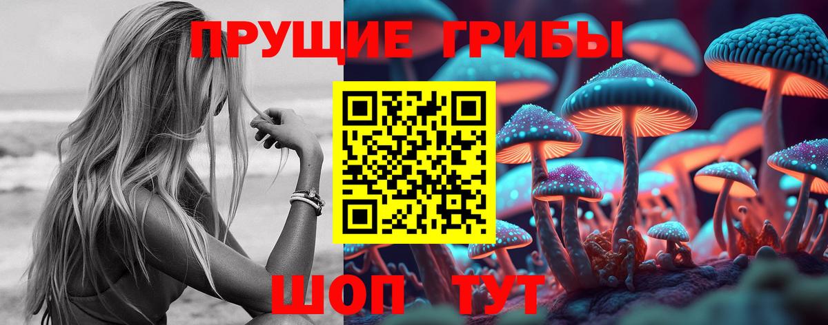 Галлюциногенные грибы Psilocybine cubensis  Вход с VPN  Нурлат 